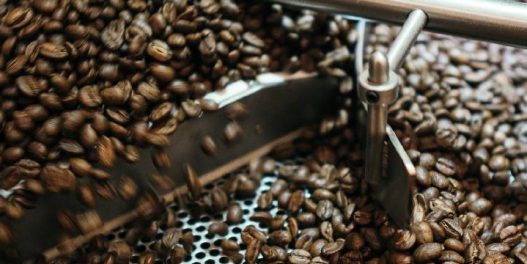 Ukus kafe mogao bi da se promeni pod uticajem klimatskih promena