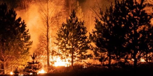 Klimatske promene su uzrok sve učestalijih požara u Australiji