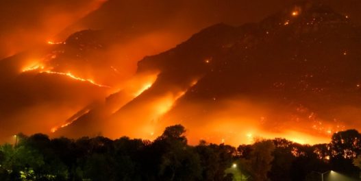 Broj šumskih požara globalno mogao bi da se poveća za 50% do 2100.