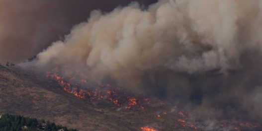 Požari su izazvali nestanak skoro 30% šuma izgubljenih u prethodnih 20 godina
