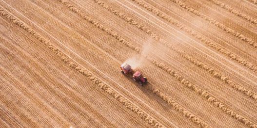 Reorganizacija svetske poljoprivrede bi drastično smanjila uticaj proizvodnje hrane na životnu sredinu