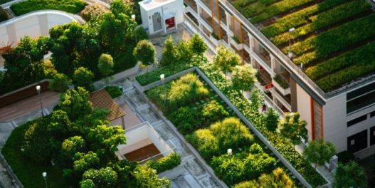 Zeleni krovovi – višestruko korisno rešenje koje u Srbiji još ne primenjujemo