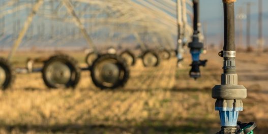 Poljoprivrednicima u Srbiji zbog klimatskih promena treba sve više vode za navodnjavanje