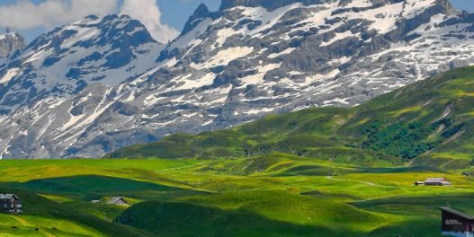 Alpi pod uticajem klimatskih promena postaju sve zeleniji