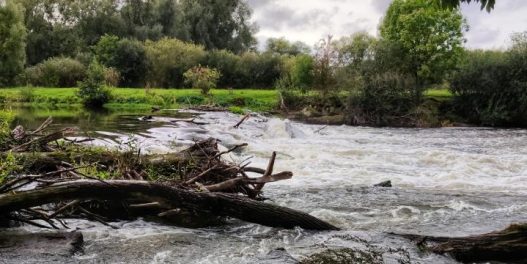 Da li su Srbiju i region proteklog vikenda poplavile klimatske promene?