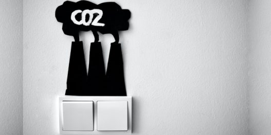 5 jednostavnih načina da smanjite svoj karbonski otisak