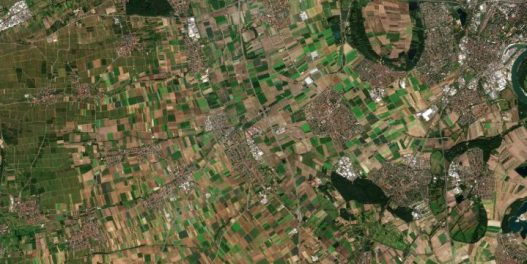 Njive, gledane iz svemira: Kako satelitski snimci i AI menjaju savremenu poljoprivredu