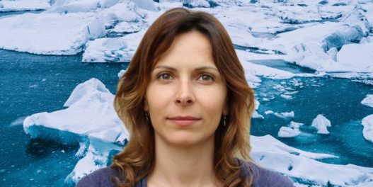 Ivana Cvijanović: Arktik bez leda je realna opasnost