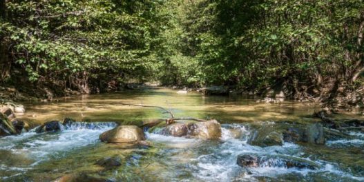 Stručnjaci pozivaju na uključivanje 29 reka u Srbiji u Emerald mrežu radi veće zaštite