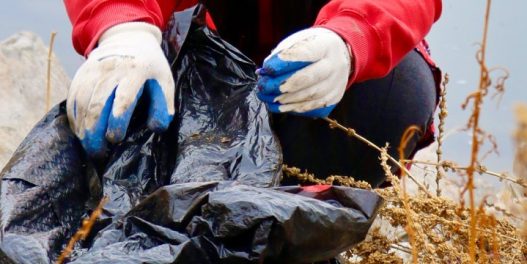 Za vikend zajednički čistimo Srbiju od smeća: Akcija Zavrni rukave na rekordnom broju lokacija
