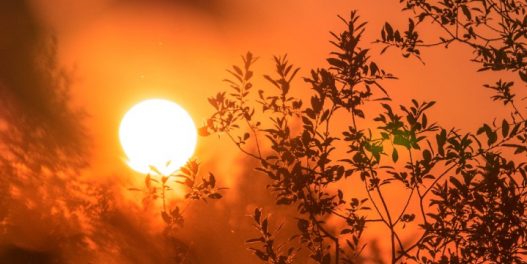 Klimatske promene uzimaju maha – u Kanadi besne požari, u severnoj Africi temperature preko 45 °C