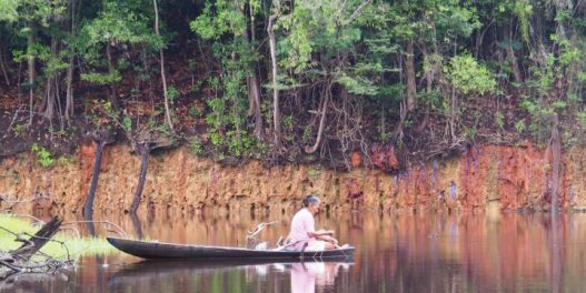 Krčenje Amazonije u Brazilu opalo za 34% u prvih šest meseci ove godine