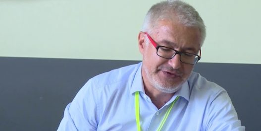 Dr Dušan Petrić: Otkud toliko komaraca ove godine i kako se zaštititi?