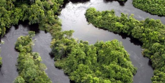 Slatko-kisele vesti iz Brazila: Dogovorena jača regionalna zaštita Amazonije, ali ne i zaustavljanje krčenja