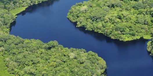 Krčenje šuma u Brazilu moglo bi da padne na istorijski minimum već za jednu do dve godine, tvrde vlasti