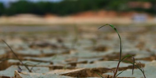 Klimatske promene (a ne El Ninjo) glavni su krivac za rekordnu sušu u Amazonskoj prašumi, pokazuje nova studija