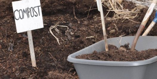 Od ove godine, Francuzi su u obavezi da kompostiraju organski otpad iz svojih domova