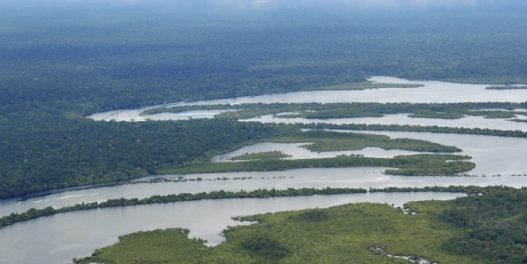 U februaru je zabeleženo rekordnih 3000 požara u brazilskoj Amazoniji. A krivac su – klimatske promene