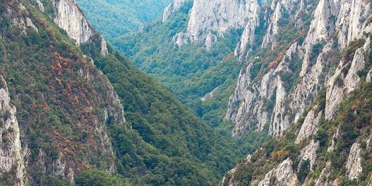 Da li Kučaj-Beljanica može zaista da postane nacionalni park?