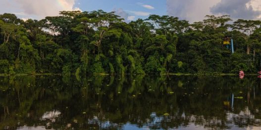 Krčenje brazilske Amazonije opalo za 31%, dostignute najniže stope u proteklih devet godina