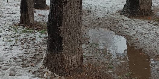 Sneg će se u budućnosti kraće zadržavati, čak i u slučaju povećanih padavina