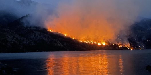 Začarani krug vatre i vode: Kako šumski požari i bujične poplave pospešuju jedni druge