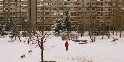 Još jedna zima bez grudvanja, sankanja, sneška: Gde je nestao snežni pokrivač u Beogradu?