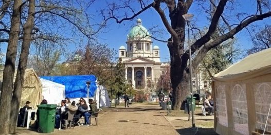 Studenti sa Biološkog fakulteta u Beogradu izražavaju zabrinutost zbog stanja Pionirskog parka