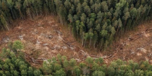 Revolucija u ekološkom pravu: Savet Evrope usvojio Konvenciju o zaštiti životne sredine kroz krivično pravo