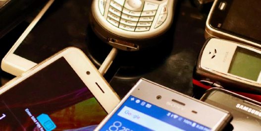 Kako vaš stari mobilni telefon može postati mini data-centar za prebrojavanje morskih vrsta?