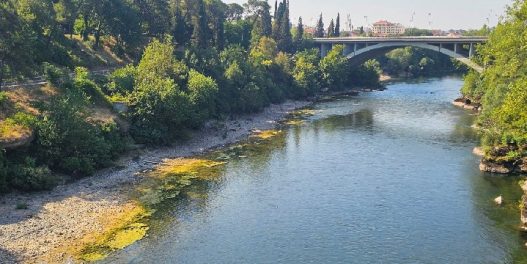 Kako toplota i otpadne vode pretvaraju Moraču u idealno stanište za alge?