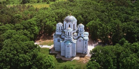 Projekat TreeGems: Pridružite se građanskom mapiranju posebnih, svetih stabala u Šumadiji