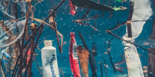 Poraz u Ženevi: Petrohemijske države sprečile usvajanje dokumenta kojim bi se svet obavezao na ograničenje proizvodnje plastike