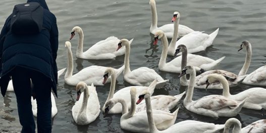 Zatečeni smo niskim temperaturama: Da li je normalno da u oktobru bude ovako hladno?