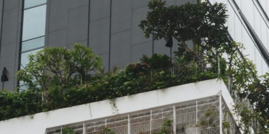 Solarni 15-minutni grad sa urbanim baštama smanjuje štetne emisije i do 98%, pokazuje nova studija