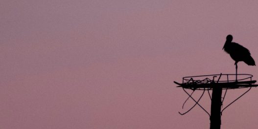 2025. je trebalo da nas rashladi… A zapravo je među 3 najtoplije godine ikada zabeležene