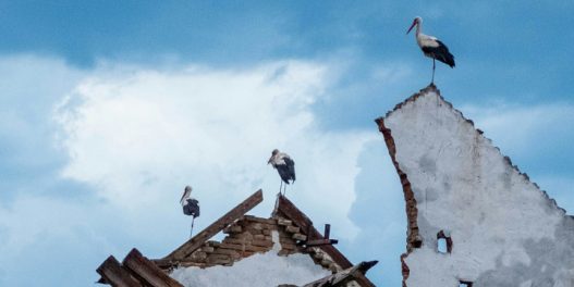 Od početka 21. veka, u Srbiji su klimatski ekstremi napravili štetu od najmanje 10 milijardi evra