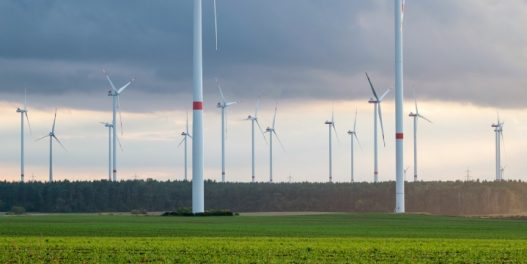 Problemi vetroparka Samoš: Lekcija kako ne graditi obnovljive kapacitete koji su Srbiji preko potrebni