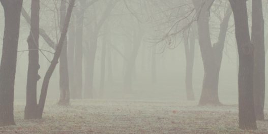 Dok je vazduh zagađen širom Srbije, zvanični godišnji izveštaj o kvalitetu vazduha kasni već skoro 8 meseci