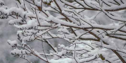 Snežni pokrivač u Srbiji: Zašto su grudvanje i Sneško sve ređe i sve kraće pojave?