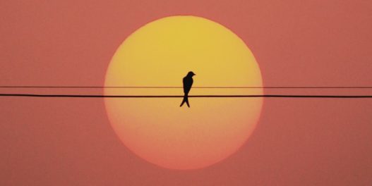 2025: Svet je doživeo treću najtopliju godinu ikada zabeleženu