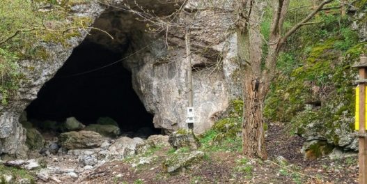 U Sesalačkoj pećini kod Sokobanje, domaći naučnici otkrili novu vrstu gljive i nazvali je po Betmenu: Upoznajte Gamsia batmanii