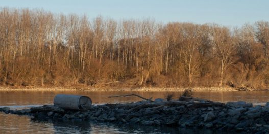 Divlje deponije su izvor mikroplastike u šumskom zemljištu, pokazuje istraživanje plavnih područja Dunava, Save i Morave