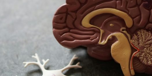 Zagađenje vazduha povećava rizik od razvoja Alchajmerove bolesti, otkriva nova studija