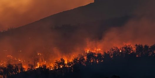 Patagonija u plamenu: Požari haraju netaknutim, drevnim šumama u argentinskom nacionalnom parku