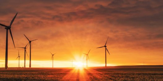 „U vreme krize obnovljivi izvori ponovo pokazuju gotovo sve svoje prednosti”: Reakcija dr Nikole Rajakovića na aktuelne planove razvoja obnovljivih izvora energije u Srbiji