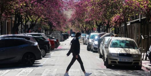 Drveće može da prepolovi efekat urbanog toplotnog ostrva, pokazuje analiza 8.919 velikih gradova širom sveta