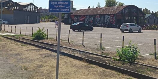 Kako su suša i vrućine ovog leta uzele danak zelenilu u Beogradu?